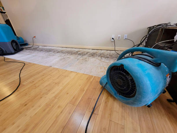 Professional Water Damage Repair technician working in Brighton, TN